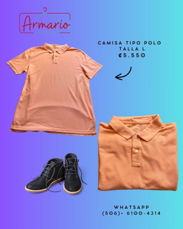 Camisa tipo Polo