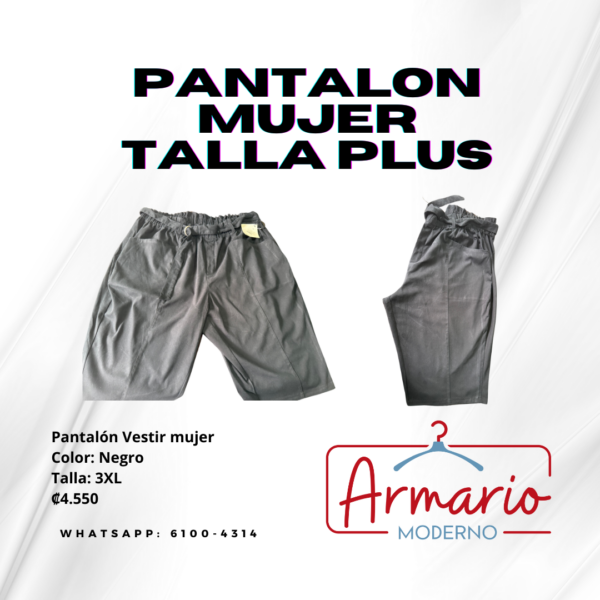 Pantalón estilo vestir y palazo