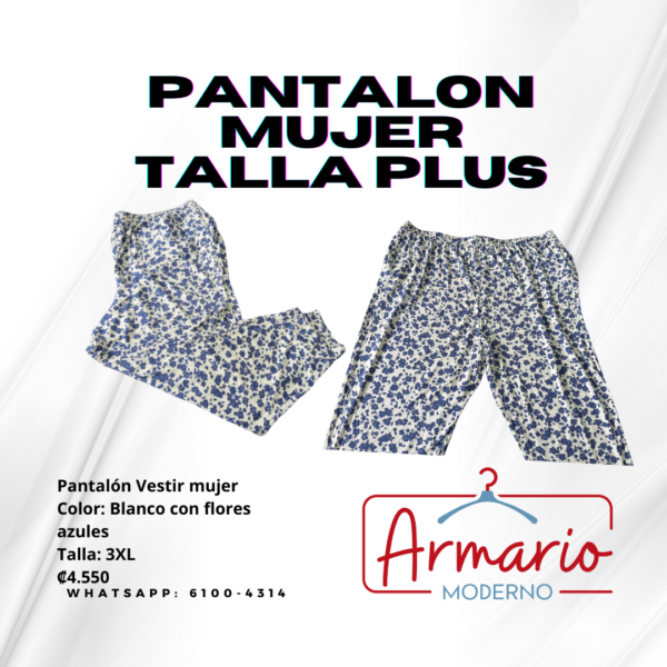 Pantalón estilo vestir y palazo