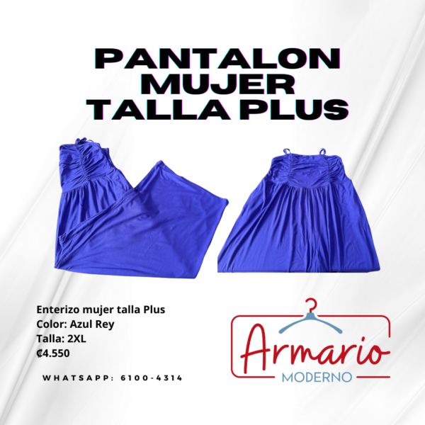 Pantalón estilo vestir y palazo