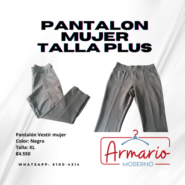 Pantalón estilo vestir y palazo